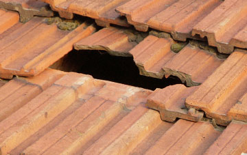 roof repair Low Hesket, Cumbria